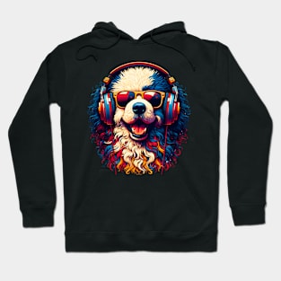 Puli Smiling DJ with Headphones and Sunglasses Hoodie